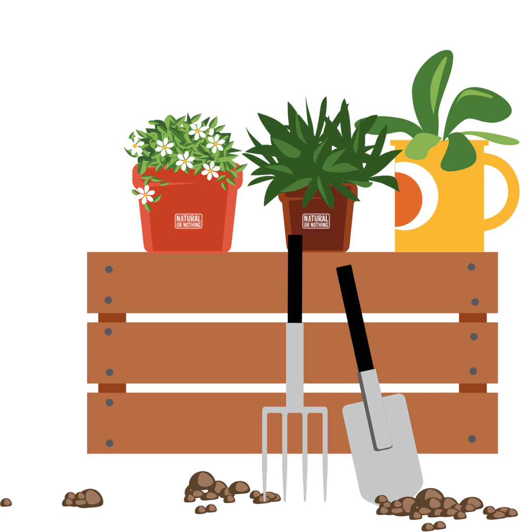 setupKitchenData